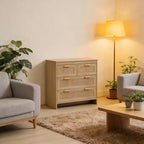 Meuble de rangement moderne en rotin